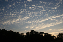 Cirrocumulus