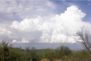 Thunder Heads develop over the open Desert