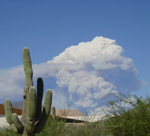 Willow Fire Pyro Cumulus Cloud